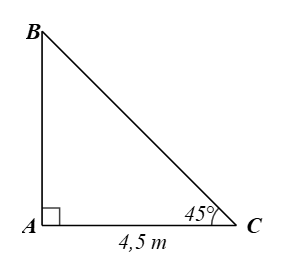 Bài 8 trang 54 Toán 9 Tập 1 Cánh diều | Giải Toán 9