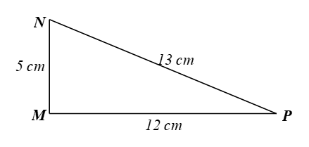 Bài 3 trang 81 Toán 9 Tập 1 Cánh diều | Giải Toán 9