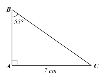 Luyện tập 5 trang 85 Toán 9 Tập 1 Cánh diều | Giải Toán 9
