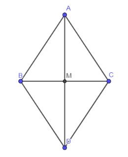 Giải Toán 10 Bài 8 KNTT