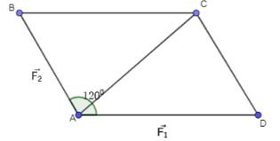 Giải Toán 10 Bài 8 KNTT