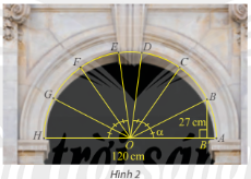 Giải Toán 11 tập 1 trang 24