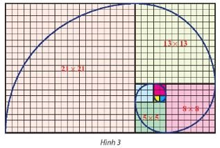 Toán 11 Chân trời sáng tạo bài 1: Dãy số