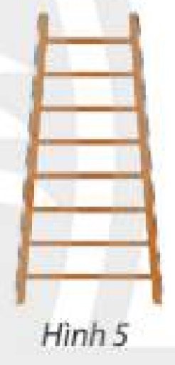 Giải Toán 11 tập 1 trang 56