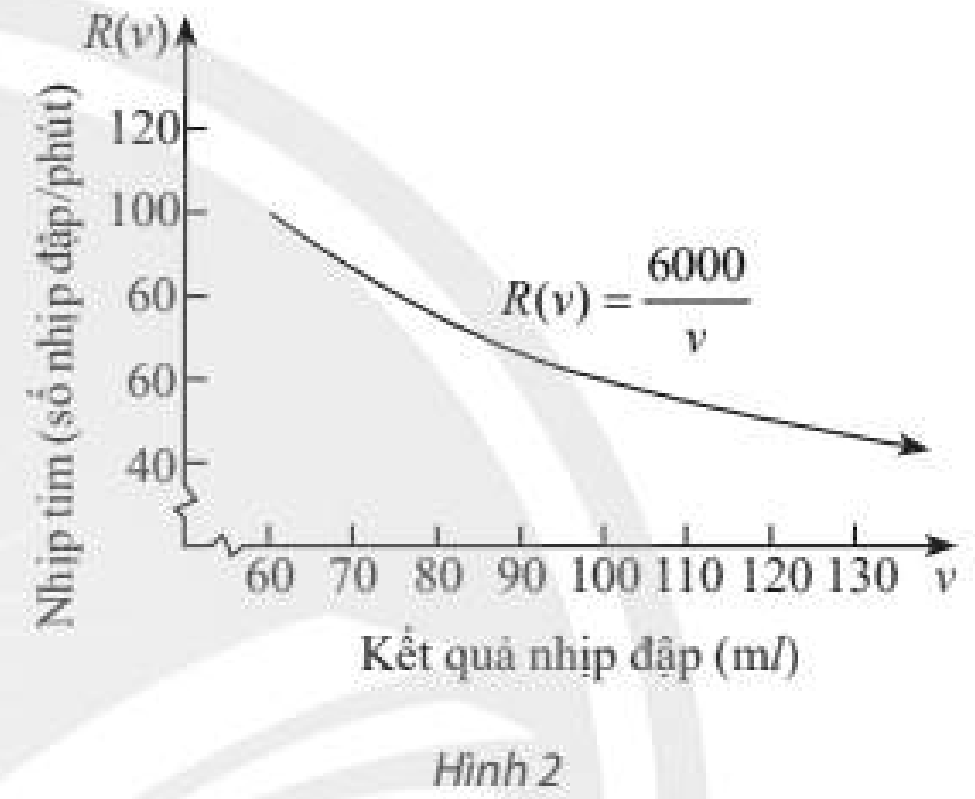Giải toán 11 tập 2 trang 51 