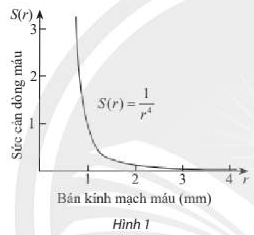 Giải toán 11 tập 2 trang 51 