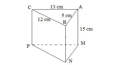 Bài 8 Giải Toán 7 tập 1 Trang 66