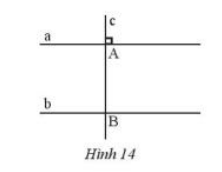 Vận dụng 2 trang 80 Toán 7 tập 1 SGK Chân trời sáng tạo