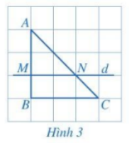 Giải toán 8 tập 2 trang 53