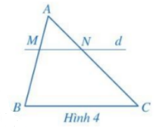 Giải toán 8 tập 2 trang 53