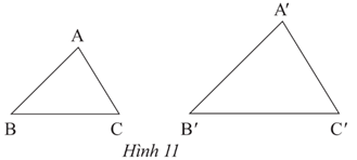 Bài 3 trang 65 Toán 8 Tập 2 Chân trời sáng tạo | Giải Toán 8