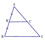 Bài 2 trang 65 Toán 8 Tập 2 Chân trời sáng tạo | Giải Toán 8