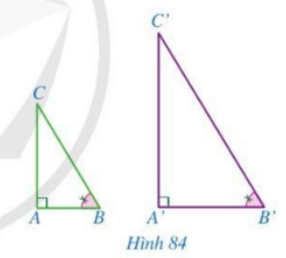 Bài 8: Trường hợp đồng dạng thứ ba của tam giác
Bài học pageSettings