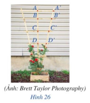 Bài 3 Giải toán 8 tập 2 trang 61