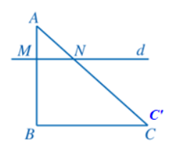 Giải toán 8 tập 2 trang 55