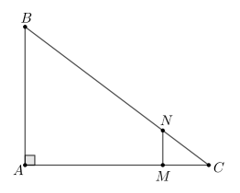 Giải toán 8 tập 2 trang 55