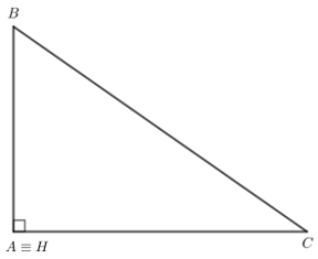 Giải toán 7 tập 2 trang 118 bài 13
