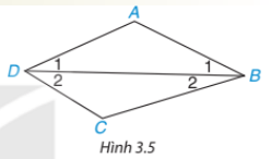 Giải Hoạt động trang 50 