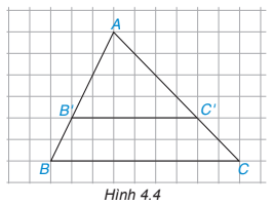 Giải Luyện tập 2 trang 78 sgk Toán 8 tập 1 Kết nối