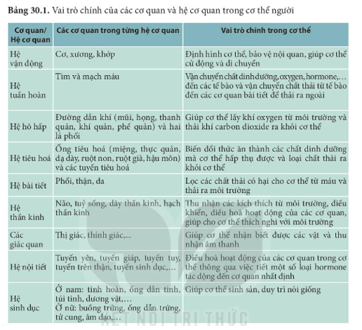 Bài 30: Khái quát về cơ thể người KHTN 8
