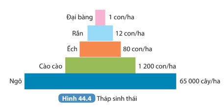 Bài 44: Hệ sinh thái KHTN 8 