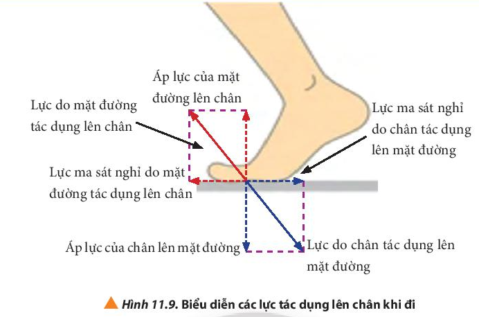 Giải Vật lí 10 Bài 11: Một số lực trong thực tiễn 