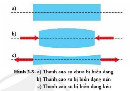 Giải Vật lí 10 trang 115 Bài 2: Sự biến dạng 