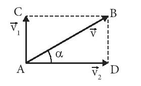Giải Vật lí 10 trang 26 Bài 5: Tốc độ và vận tốc 