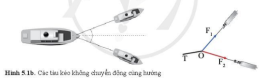 Vật lí 10 trang 66 Bài 5