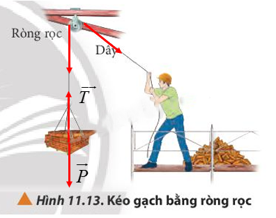 Giải Vật lí 10 Bài 11: Một số lực trong thực tiễn 