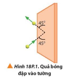 Giải Lý 10 Bài 18