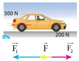 Giải Lý 10 Bài 2