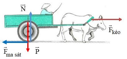 Giải Vật lí 10 trang 55 Bài 2: Một số lực thường gặp 