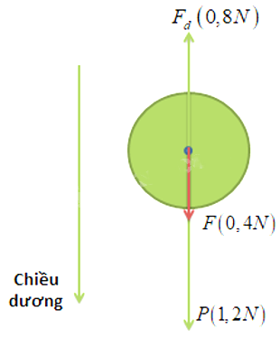 Vật lí 10 trang 66 Bài 5