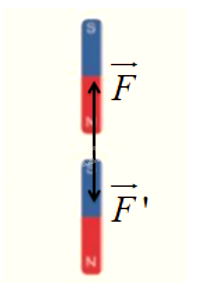 Vật lí 10 trang 60 Bài 3