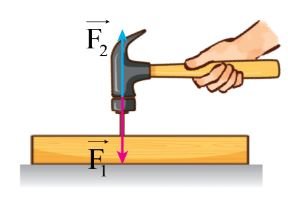 Giải Vật lí 10 trang 68 Bài 16: Định luật 3 Newton
