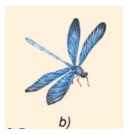 Giải Vật lí 10 trang 79 Bài 19: Lực cản và lực nâng 