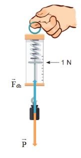 Giải Vật lí 10 trang 71 Bài 17: Trọng lực và lực căng 