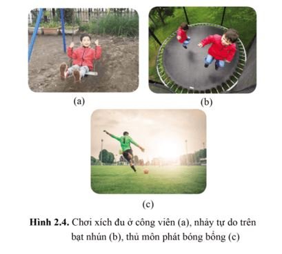 Giải Vật lí 10 trang 89 Bài 2: Bảo toàn và chuyển hóa năng lượng 