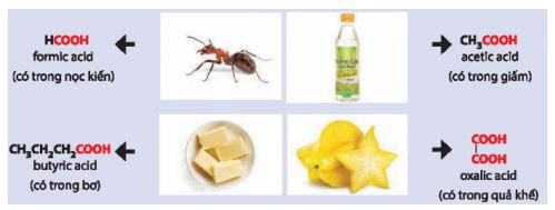 Hoá học 11 trang 147 Bài 24: Carboxylic acid
