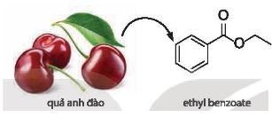 Hoá học 11 trang 153 Bài 25: Ôn tập chương 6
