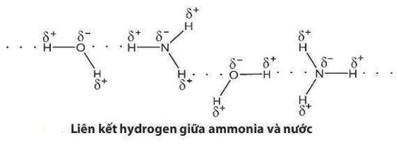 Hoá học 11 trang 34 Bài 5: Ammonia – Muối Ammonium
