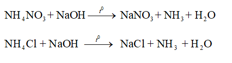 Hoá học 11 trang 34 Bài 5: Ammonia – Muối Ammonium

