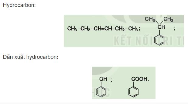 Hoá học 11 trang 58 Bài 10: Hợp chất hữu cơ và hóa học hữu cơ
