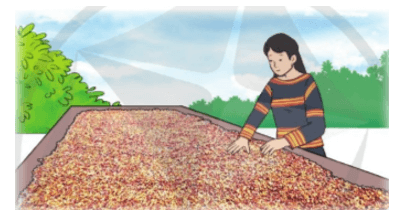 Toán 4 tập 1 Bài 18 Luyện tập 