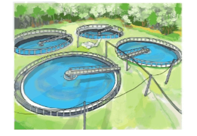 Toán 4 tập 1 Bài 2 Ôn tập về hình học và đo lường
