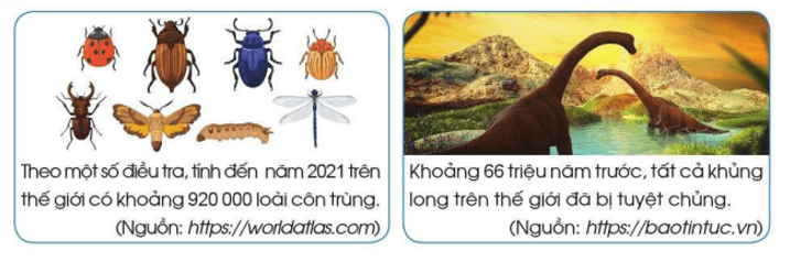 Toán 4 tập 1 Bài 8 Luyện tập
