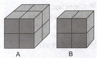 Vở bài tập Toán lớp 2 trang 33, 34 Bài 7 Tiết 5 – Kết nối tri thức (ảnh 1)