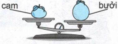 Vở bài tập Toán lớp 2 trang 57 Bài 15 Tiết 1 – Kết nối tri thức (ảnh 1)