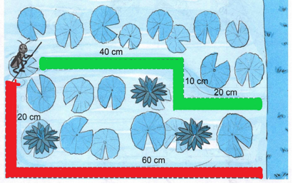 Vở bài tập Toán lớp 2 trang 74, 75 Bài 20 Tiết 3 – Kết nối tri thức (ảnh 1)